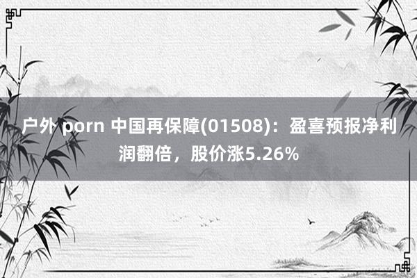 户外 porn 中国再保障(01508)：盈喜预报净利润翻倍，股价涨5.26%