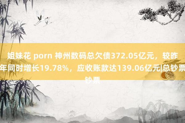 姐妹花 porn 神州数码总欠债372.05亿元，较昨年同时增长19.78%，应收账款达139.06亿元|总钞票