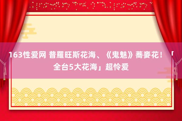 163性爱网 普羅旺斯花海、《鬼魅》蕎麥花！「全台5大花海」超怜爱