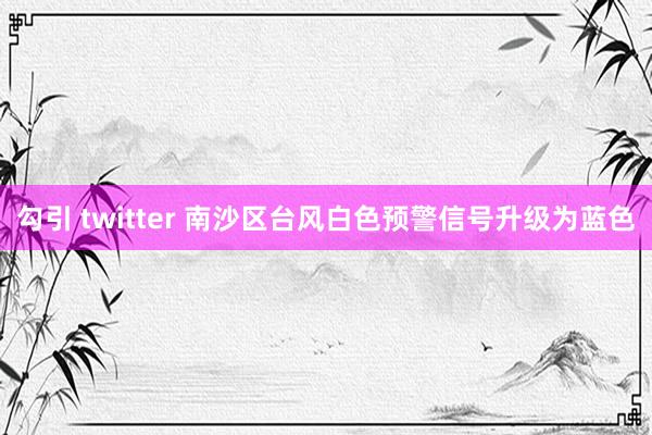 勾引 twitter 南沙区台风白色预警信号升级为蓝色