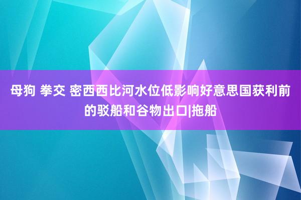 母狗 拳交 密西西比河水位低影响好意思国获利前的驳船和谷物出口|拖船